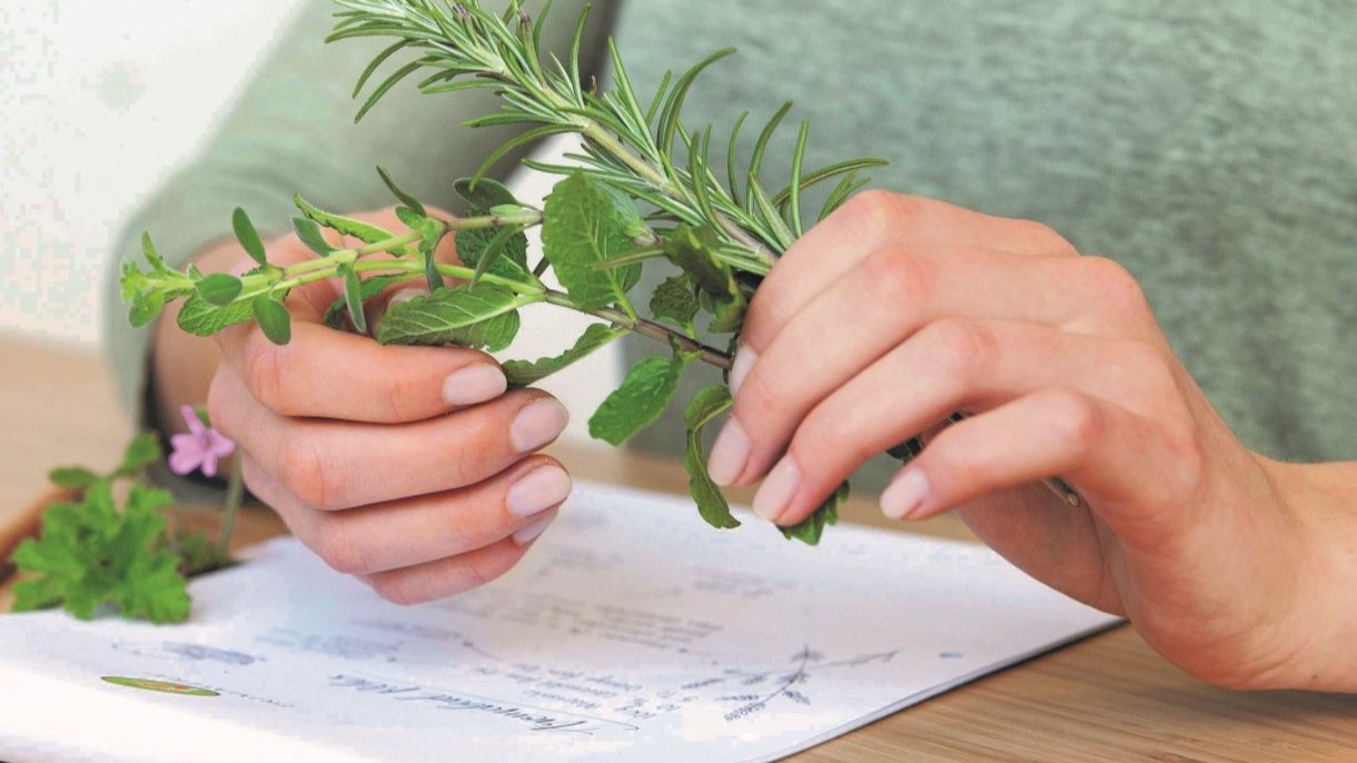 Einführung in die Welt der ätherischen Öle